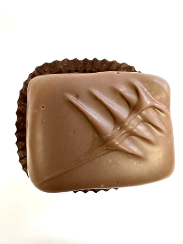 Chocolate Covered Marshmallow