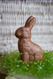18 oz. Solid Milk Chocolate Sitting Bunny