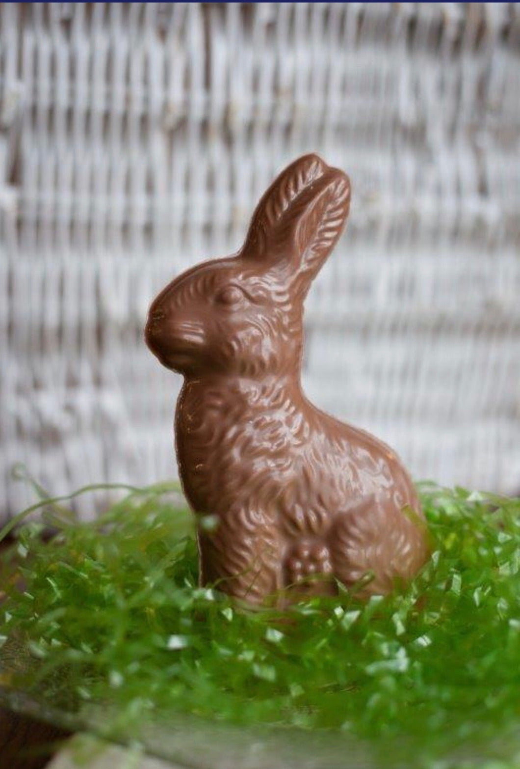 18 oz. Solid Milk Chocolate Sitting Bunny